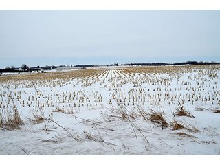 Property photo 19 - AUCTION, 206 Contiguous Acres offered in 5 Tracts